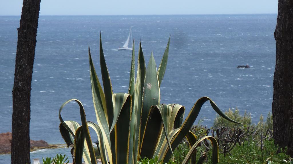 Bastidon Vue Mer Antheor-Cap-Roux Rom bilde